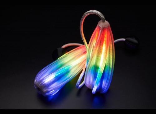 JellyPoi 24