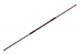 Staff